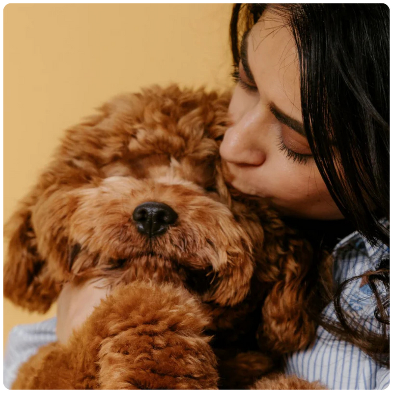 A dog owner sharing a moment with their dog, the inspiration behind our brand