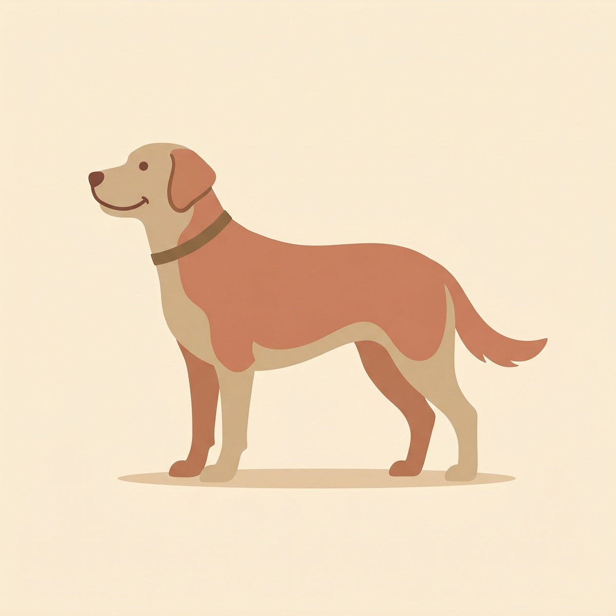 How The Daily-Dosey nourishes your dog from the inside out