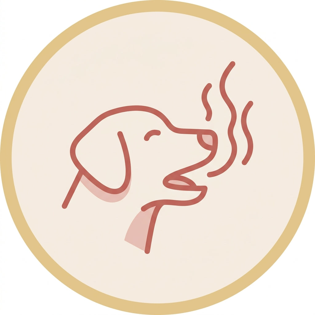 Bad Breath or Halitosis